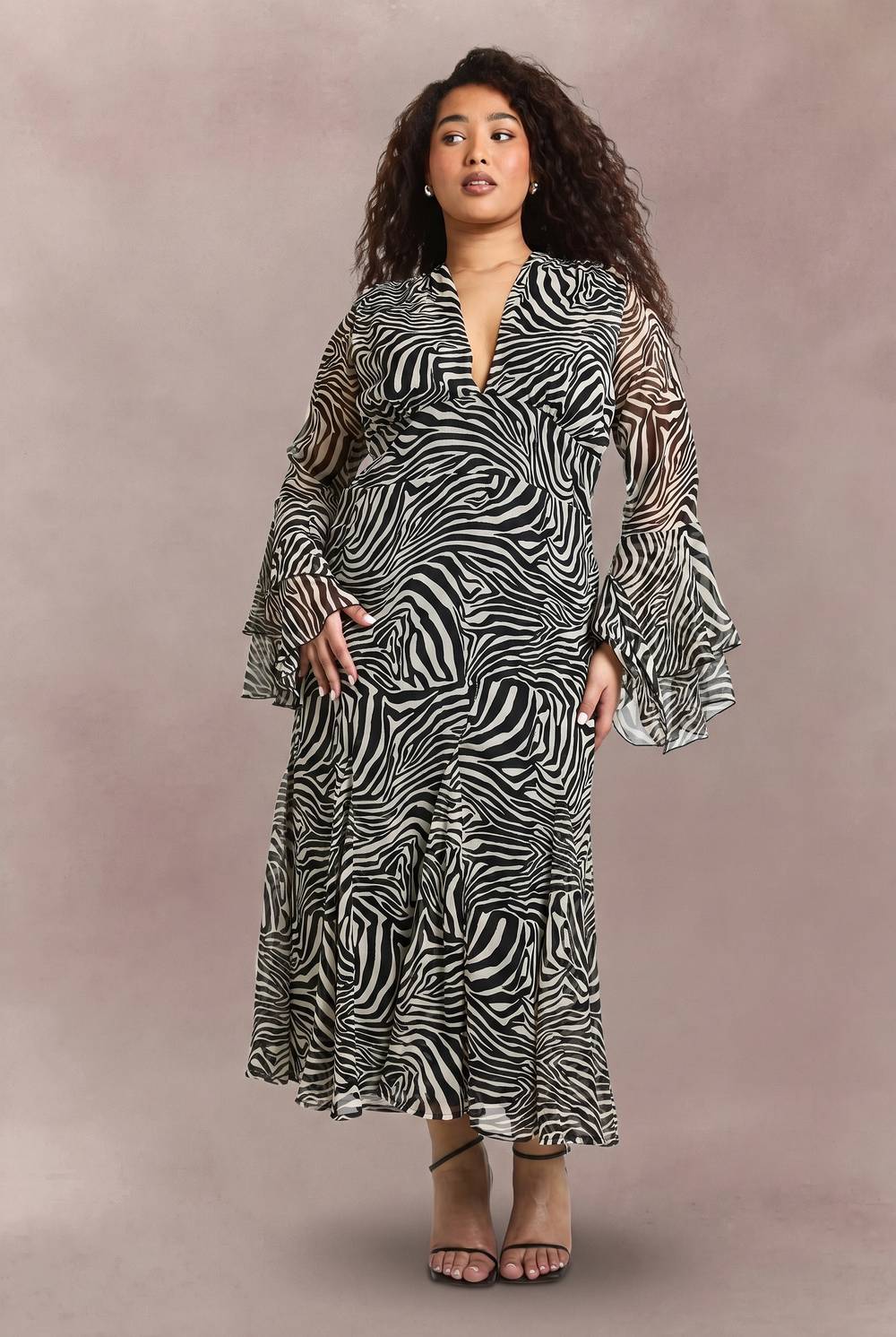 hzz44656_zebra_xl